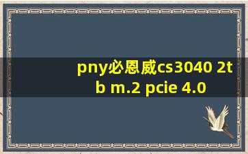 pny必恩威cs3040 2tb m.2 pcie 4.0 nvme固态硬盘